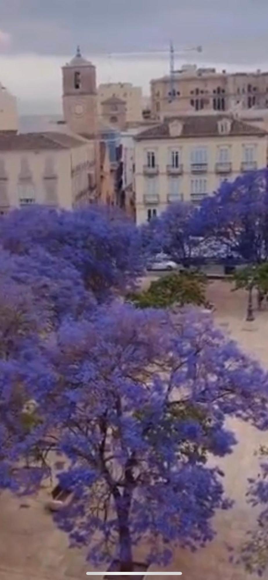 Apartamento—Centro Parking Gratis Grupos Malaga Bagian luar foto